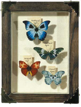 Four Butterflies of the Apocalypse